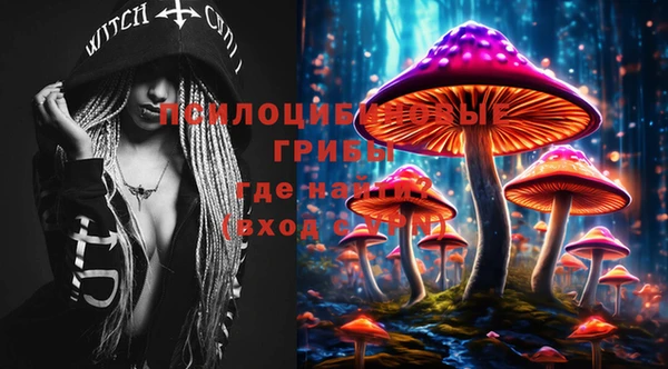 мдпв Белокуриха