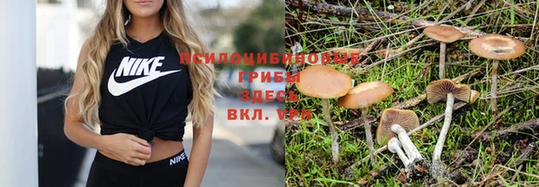 дурь Богородицк