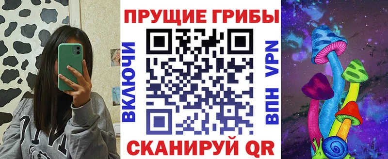 Псилоцибиновые грибы Cubensis  Купить закладки  Шадринск 